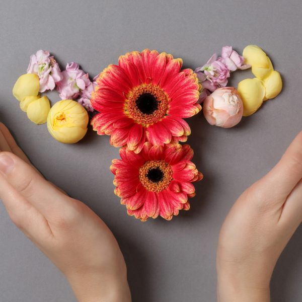 Manos sosteniendo flores que simbolizan la donación de óvulos, un acto altruista que ayuda a mujeres a cumplir su sueño de ser madres.