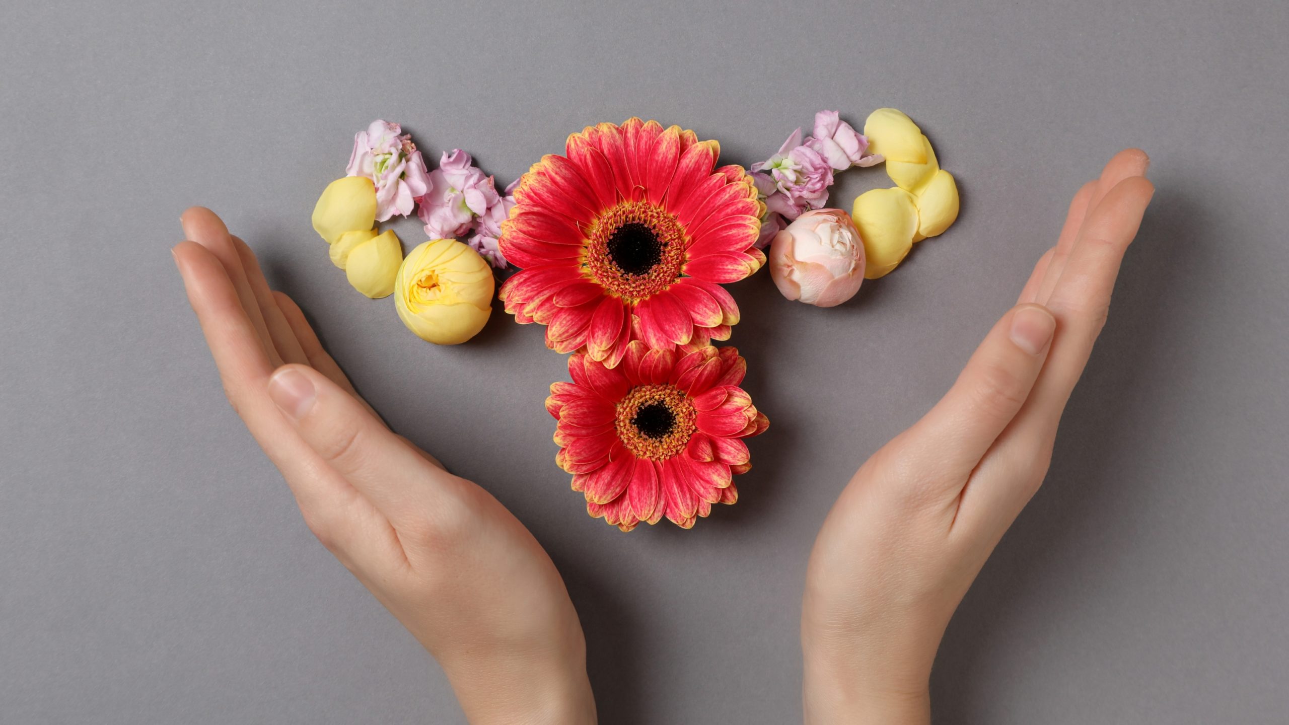 Manos sosteniendo flores que simbolizan la donación de óvulos, un acto altruista que ayuda a mujeres a cumplir su sueño de ser madres.