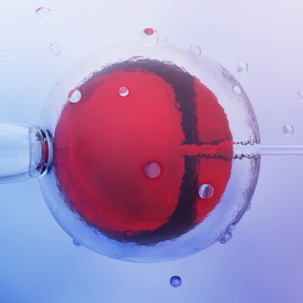In vitro fertilization (IVF): how it works,…