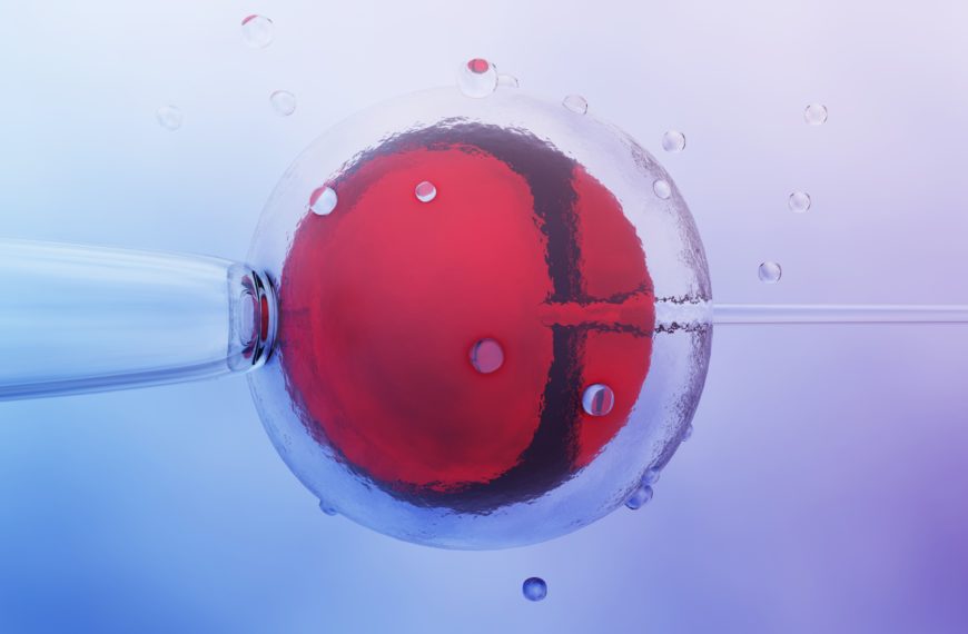 In vitro fertilization (IVF): how it works, who it’s for and what it costs