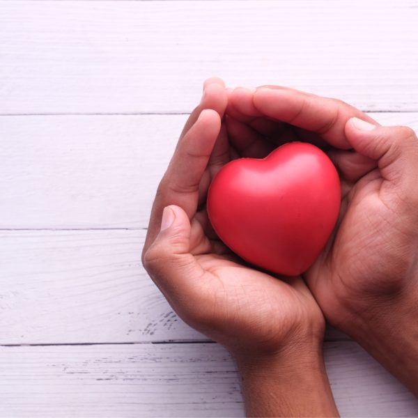 Manos sujetando un corazón rojo, simbolizando el apoyo y la esperanza en tratamientos de ovodonación y fertilidad.